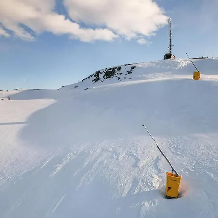 Alpinhytte 2 Hébergement de vacances